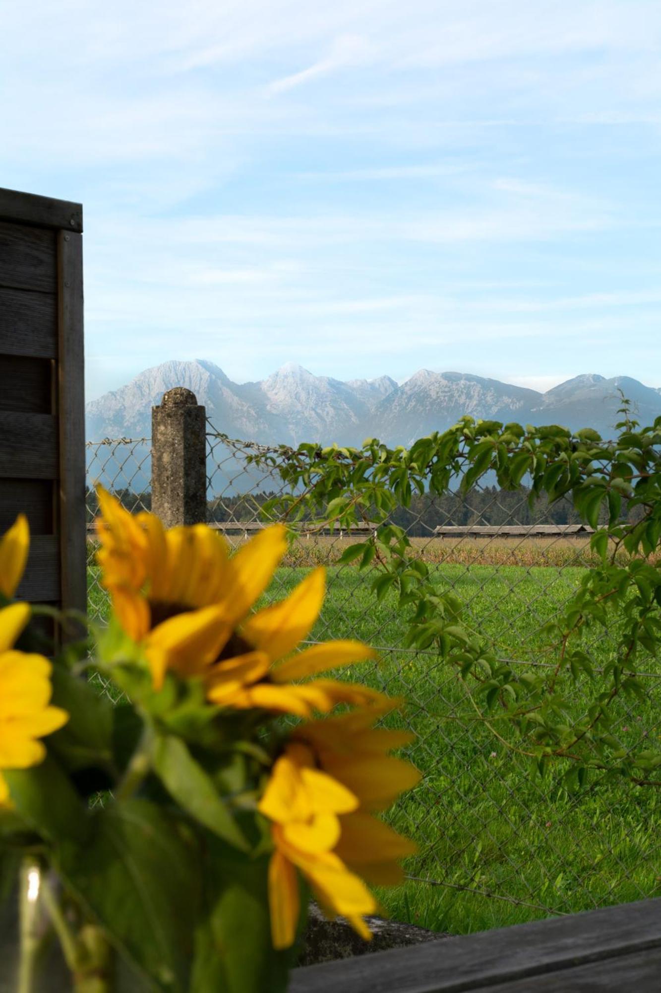 فيلا Glamping With A View Smlednik المظهر الخارجي الصورة